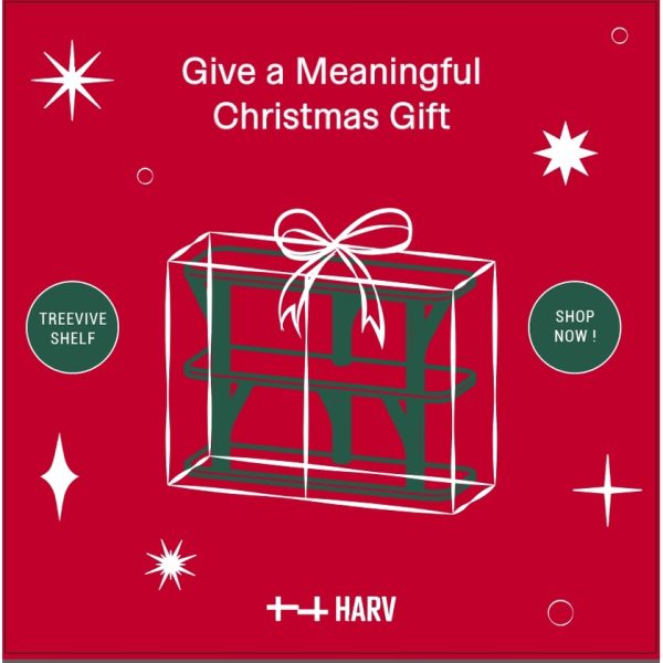HARV x QUALY ชั้นวางของ TREEVIVE Shelf W60xD20xH45 ซม.รุ่น SS-603 - Image 8