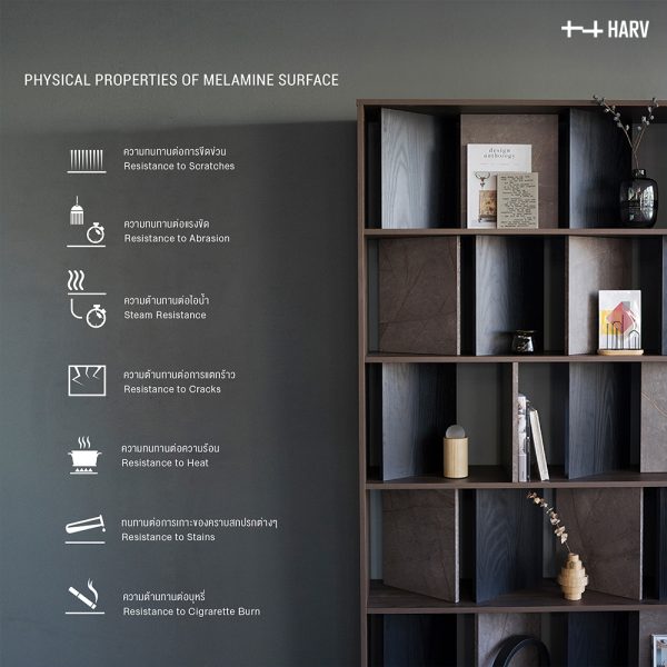 HARV ชั้นวางของ วาเน่ VANE Shelf Low x 3 L Storage W120×D30×H90 SS121 - Image 4